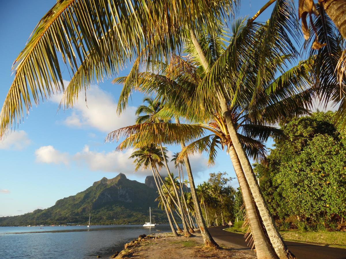 Village Temanuata Bora Bora Exteriör bild